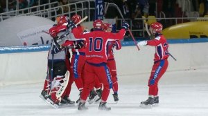Валуев: «Бюджет команды по хоккею с мячом — это зарплата Халка за сезон»