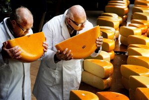 Посол Нидерландов: бизнес Голландии может открыть в Подмосковье производства сыров