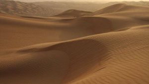 [Дожили] В узбекской пустыне Кызылкум выпал снег