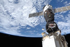 В мешках для доставки грузов на МКС обнаружена плесень