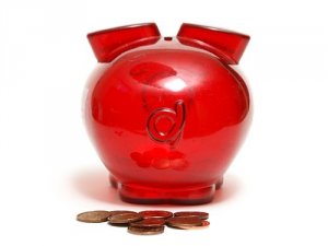 В Нидерландах начал работу банк фекалий