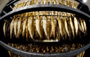 Астраханская область начала выпуск аналога "Рижских шпрот" (При этом по вкусовым качествам в сравнении с каспийскими сардинами "шпроты просто отдыхают")