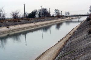 Перекрытие Северо-Крымского канала навредило шести странам Черноморского бассейна