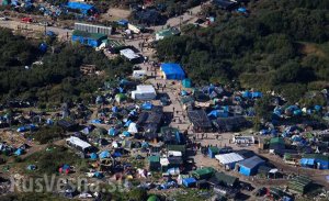 Беженцы в Кале вывесили флаг ИГ и искалечили статую Шарля де Голля