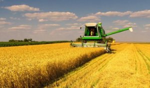 Почему аграрная Украина обречена на голодные бунты