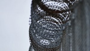 Педофил на свободе: в Мариуполе по "закону Савченко" выпущен Николай Шекерли