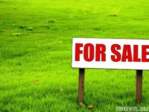 Яценюк предложил продать 1 млн гектаров государственной земли