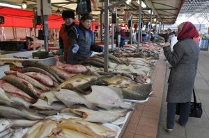 В Крыму научились выращивать камбалу и личинок устриц