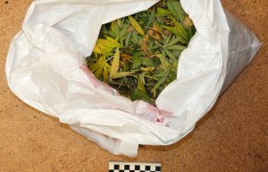 На Урале ФСБ пресекла сбыт 12 кг наркотиков, организованный с помощью биткоинов