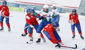 Федерации хоккея с мячом России: российские спортсмены продолжают закупать милдронат