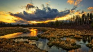 «ВСУ случайно утопили 26 единиц военной техники»