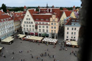 " Пора прекратить эту политику, наносящую экономический ущерб нашему народу" (В Эстонии предложили привлекать россиян безвизовым режимом)