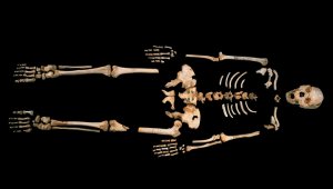 Исследование древней ДНК показало, кого нашли в испанской "яме с костями"