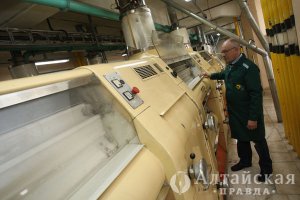 В Алтайском крае налаживают производство комбикорма для рыб