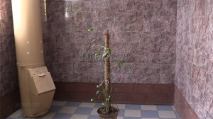 Нижегородское ТСЖ создало «дом мечты» на деньги за капремонт (Все подъезды выложены дорогой итальянской плиткой и оснащены ультрасовременными лифтами)