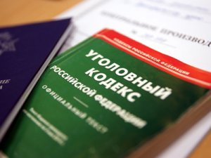 Предприниматели попросили вернуть в УК статью о бизнес-мошенничестве