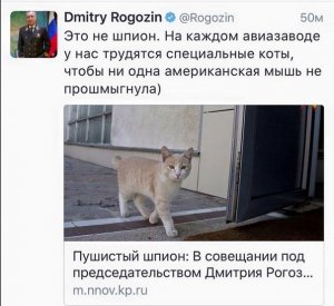 Рогозин раскрыл тайну "специально обученных котов" на авиазаводах