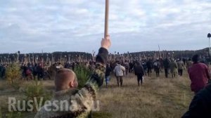 Битва за янтарь: в Ровенской области копатели избили полицейских