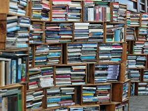 Министерство культуры Украины совместно с Государственным комитетом телевидения и радиовещания готовит закон о запрете ввоза российских книг в страну