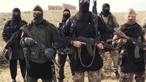 Под Днепропетровском функционирует тренировочный лагерь ИГИЛ, — французский сенатор