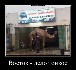 Le Monde: Среди европейцев наметился раскол во взглядах на русскую угрозу: если Запад континента продолжил понемногу снижать расходы на армию, то на Востоке резко увеличили военные траты