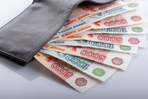 Социологи определили зарплату для нормальной жизни россиян