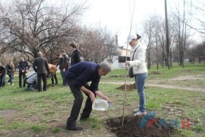 ЛНР. Участники проекта "Дети Республики" высадили аллею в память о погибших детях