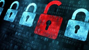 Мосгорсуд навсегда заблокировал онлайн-библиотеку "Флибуста"