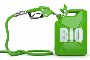 Ученые будут "выращивать" бензин на деревьях