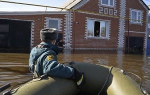 Свердловские спасатели эвакуировали 11 страусов из подтопленной фермы в Ирбите