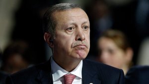 В Германии призвали Путина дать убежище автору сатиры на Эрдогана