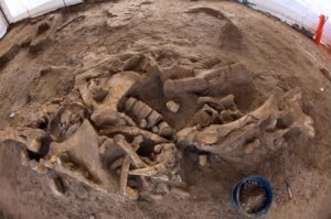 Человеческие кости обнаружены в Кисловодске на территории цеха