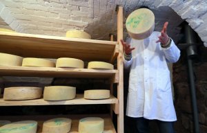 Итальянцы планируют открыть в Крыму буйволиную ферму и производство моцареллы