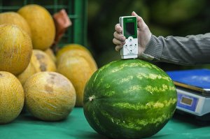 Микробиолог из Астрахани разработала замену пестицидам