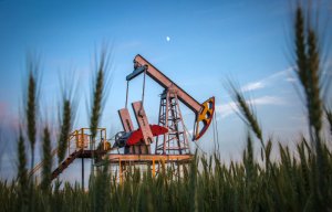 Цена Brent поднялась выше $45 за баррель впервые с декабря 2015 года. Росту способствовали данные Минэнерго США о сокращении добычи, а также заявлениях Ирака о планах добывающих стран провести встречу