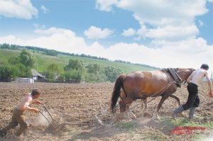 Земля есть, пахать негде. Лучшие участки разобрали застройщики и скупщики