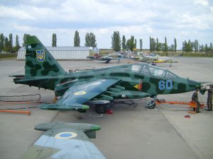 Тайные файлы: Кто сбил борт МН 17?