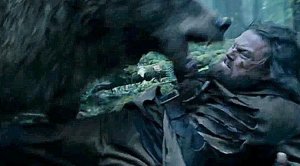 ["Тотем и табу"] В Ленинградском зоопарке объяснили, как вести себя при встрече с медведем: важно не терять самообладание, не бежать и не пытаться его испугать, как куниц, лис или волков