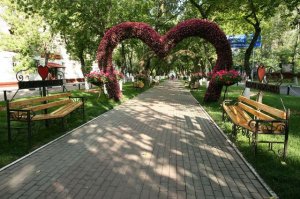 Комфорт и безопасность. В Химках заметно повысился уровень жизни.