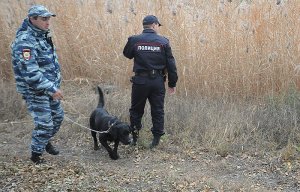 Подозреваемый в убийстве байкеров в Подмосковье признался в содеянном