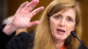 Пушков посоветовал Пауэр думать об авиаударах по больницам, а не о Крыме