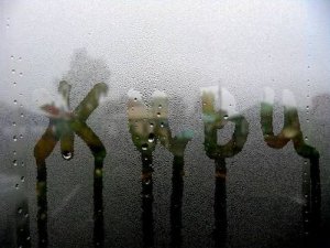 Определены администраторы ряда групп "Вконтакте", призывающих к суициду