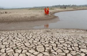 В Индии жара достигла 50,5 градуса по Цельсию, объявлена чрезвычайная ситуация