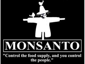 Bayer подтвердил информацию о возможном приобретении ГМО-гиганта Monsanto