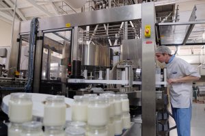 Сибирский ученый нашел способ выявления пальмового масла в молоке