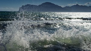 Франция признает Крым российским, если президентом станет Ле Пен