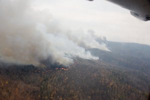 Более 30 лесных пожаров бушуют в Забайкалье, горит 22,4 тыс. га тайги