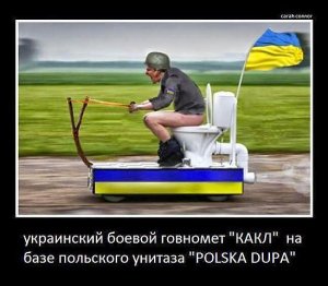 У кого ствол, тот и прав: вооруженная до зубов Украина как угроза ЕС