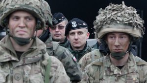 Польша потребовала от Грузии объяснения причин отказа от участия в учениях НАТО (Грузия не поехала на учения из-за ветрянки)