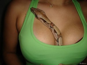 Галицийский халифат